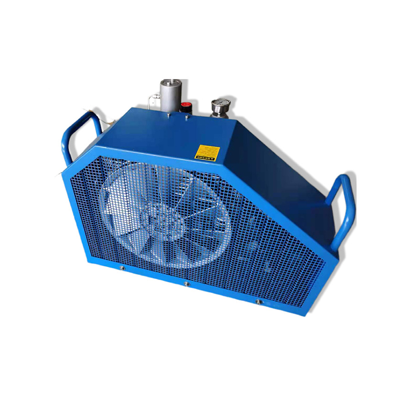 Model KAEN-300L Ademluchtvulpomp met twee cilinders